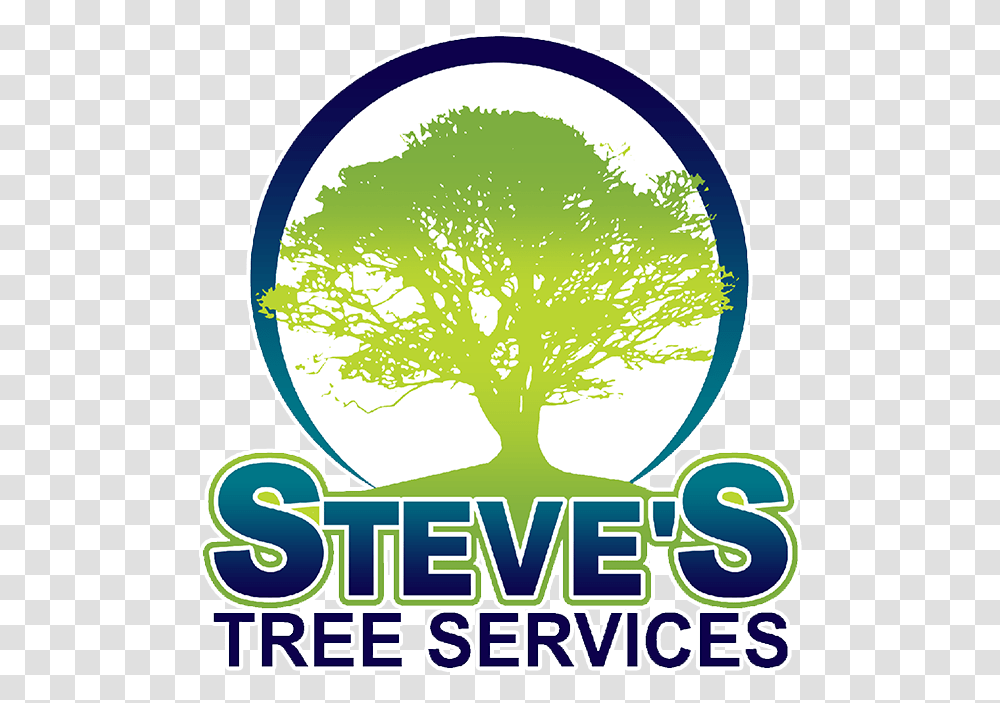 Steve's Tree Service Oak Tree Silhouette, Plant Transparent Png