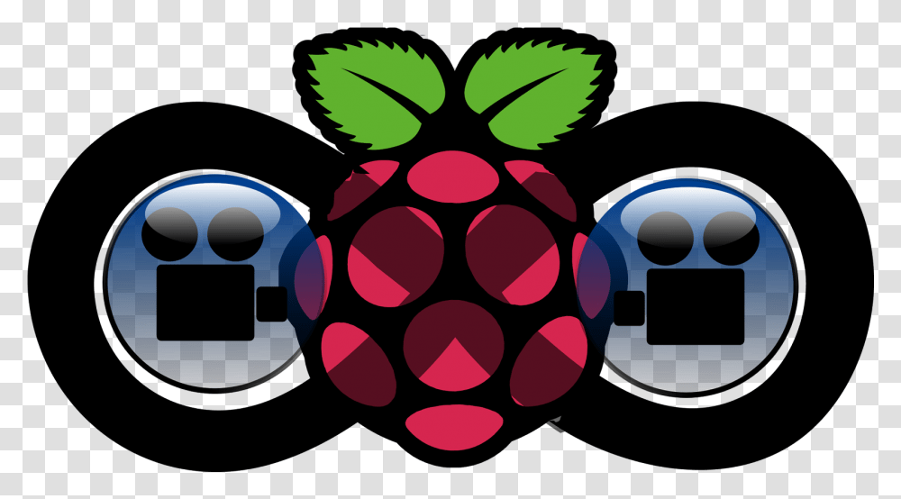 Steves Computer Vision Blog Raspberry Pi Automatic Video Looper Raspberry Pi 3 Looper, Plant, Fruit, Food, Grapes Transparent Png