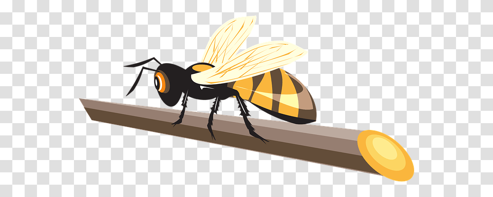 Stick Animals, Insect, Invertebrate, Wasp Transparent Png