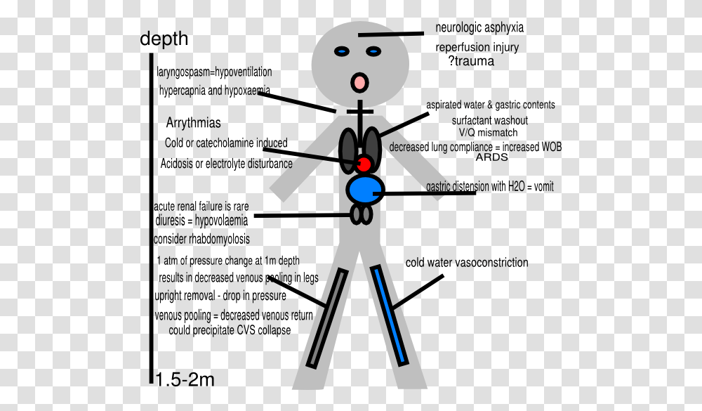 Stick Figure Pathophysiology Of Drowning Svg Clip Arts, Diagram, Plot, Flyer, Poster Transparent Png