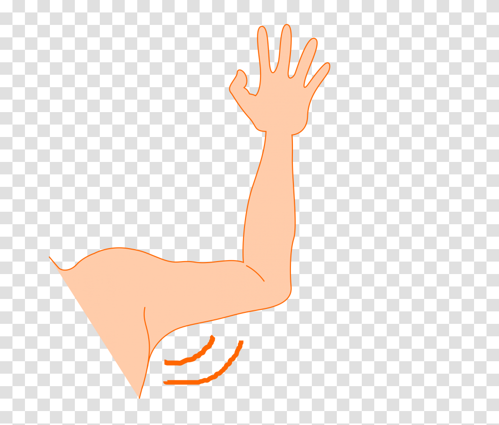 Stick Man Figure Using Arms, Hand, Person, Human, Finger Transparent Png