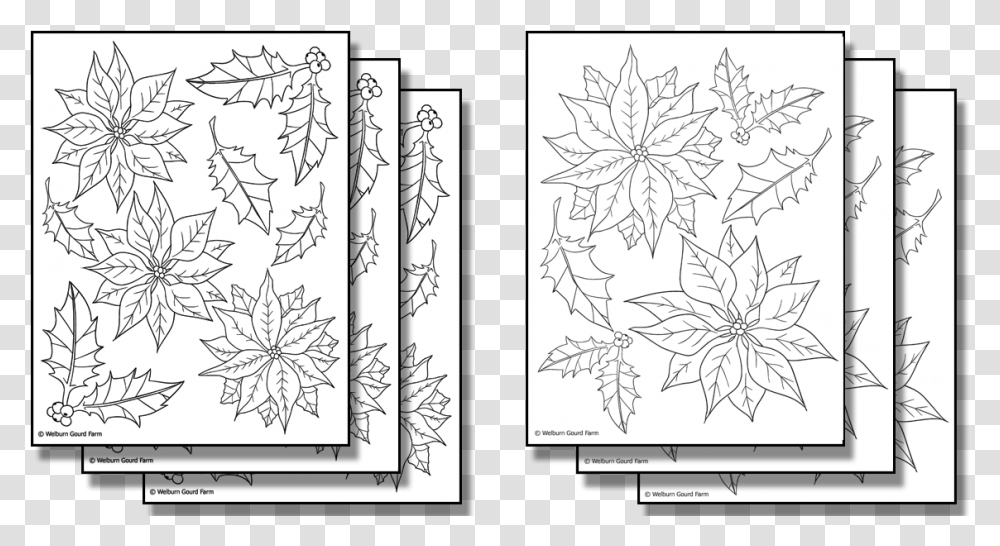 Stick N Burn Multiples Line Art, Leaf, Plant, Tree Transparent Png