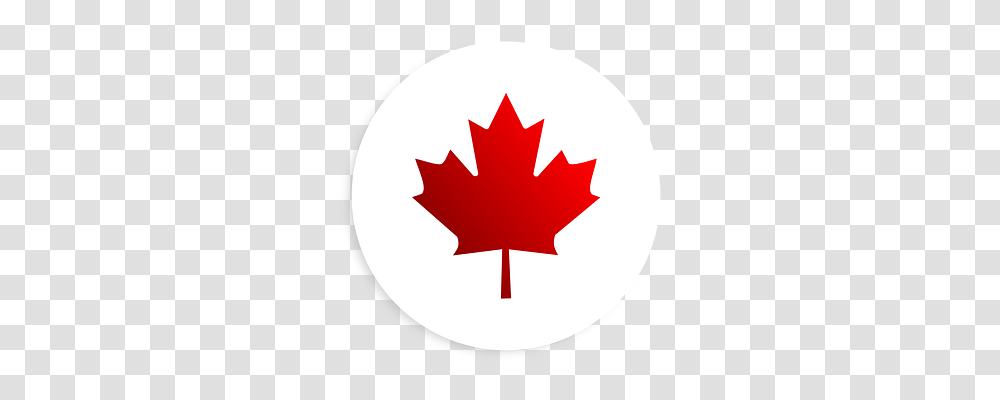 Sticker Leaf, Plant, Maple Leaf, Tree Transparent Png