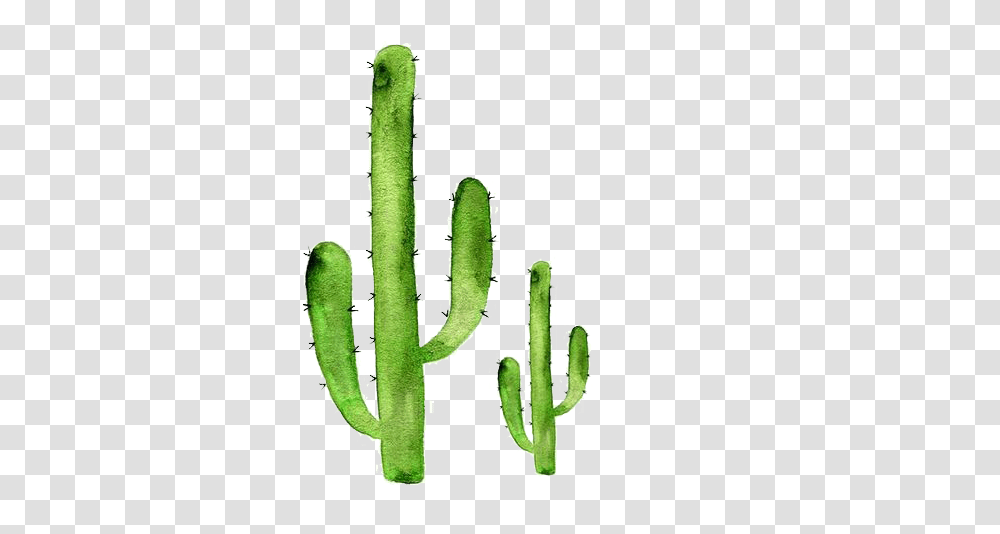 Sticker Art Cactaceae Succulent Plant Redbubble Cactus Watercolor Cactus Drawing Transparent Png