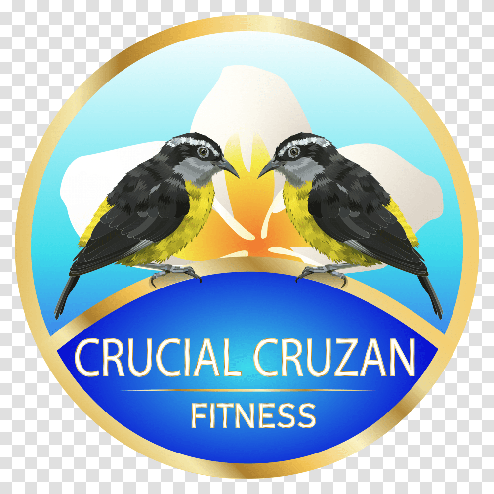 Sticker, Bird, Animal, Jay Transparent Png