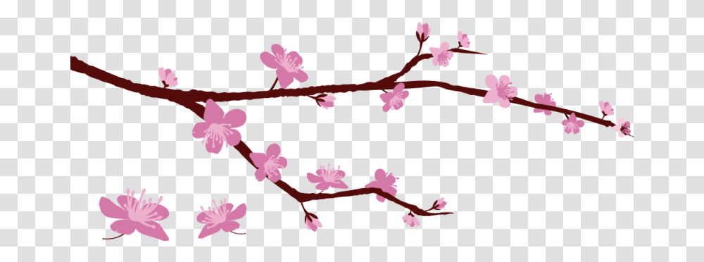 Sticker Branche Cerisier Color Stickers Start A Breast Cancer Support Group, Plant, Cherry Blossom, Flower, Petal Transparent Png