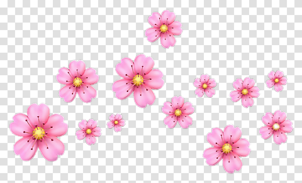 Sticker By Nadyusha Iphone Pink Flower Emoji High Flower Crown Emoji, Plant, Blossom, Cherry Blossom, Anther Transparent Png