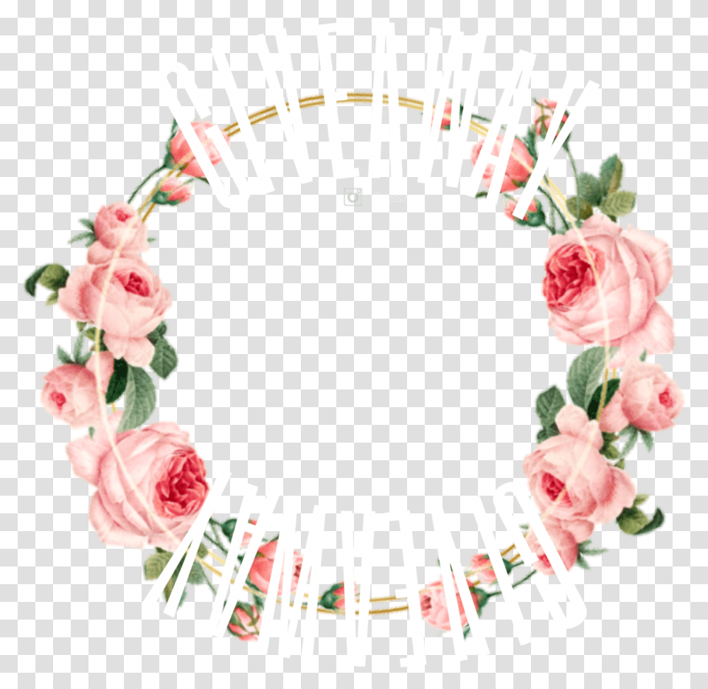 Sticker Circle Circleframe Roses Giveaway Hybrid Tea Rose, Plant, Flower, Flower Arrangement, Ornament Transparent Png