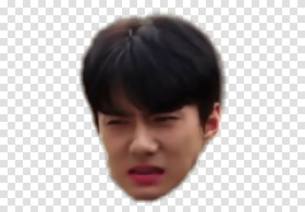 Sticker Exo Sehun Meme Sehun Meme Face, Person, Boy, Hair, Haircut Transparent Png