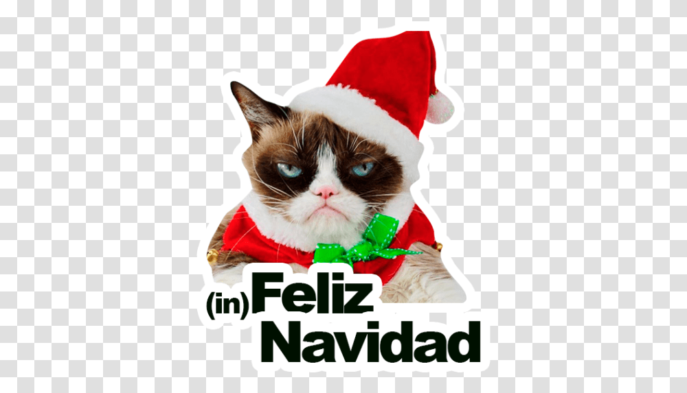 Sticker Maker Grumpy Cat Y Lil Bub Happy Holidays Grumpy Cat, Pet, Mammal, Animal, Kitten Transparent Png