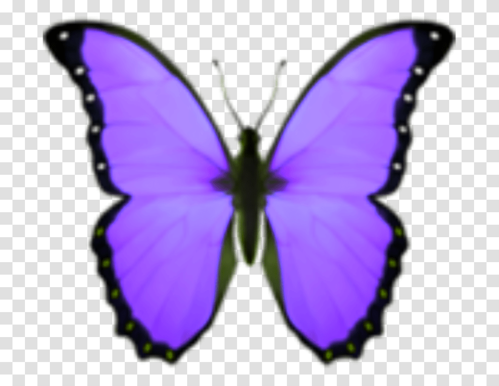 Sticker Papilio, Butterfly, Insect, Invertebrate, Animal Transparent Png
