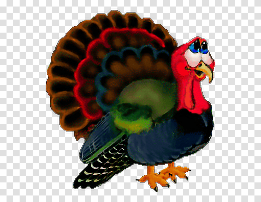 Sticker Pavo Freetoedit Animated Gif Turkey, Bird, Animal, Person, Human Transparent Png