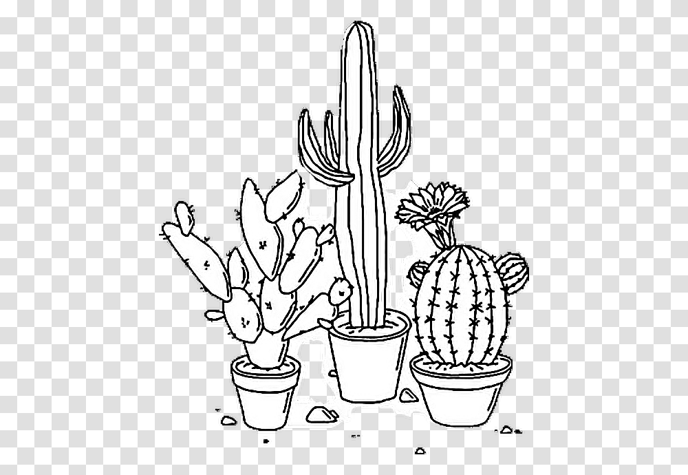 Sticker Tumblr Aesthetic Cactus Plant Blackandwhite Aesthetic Black And White Transparent Png