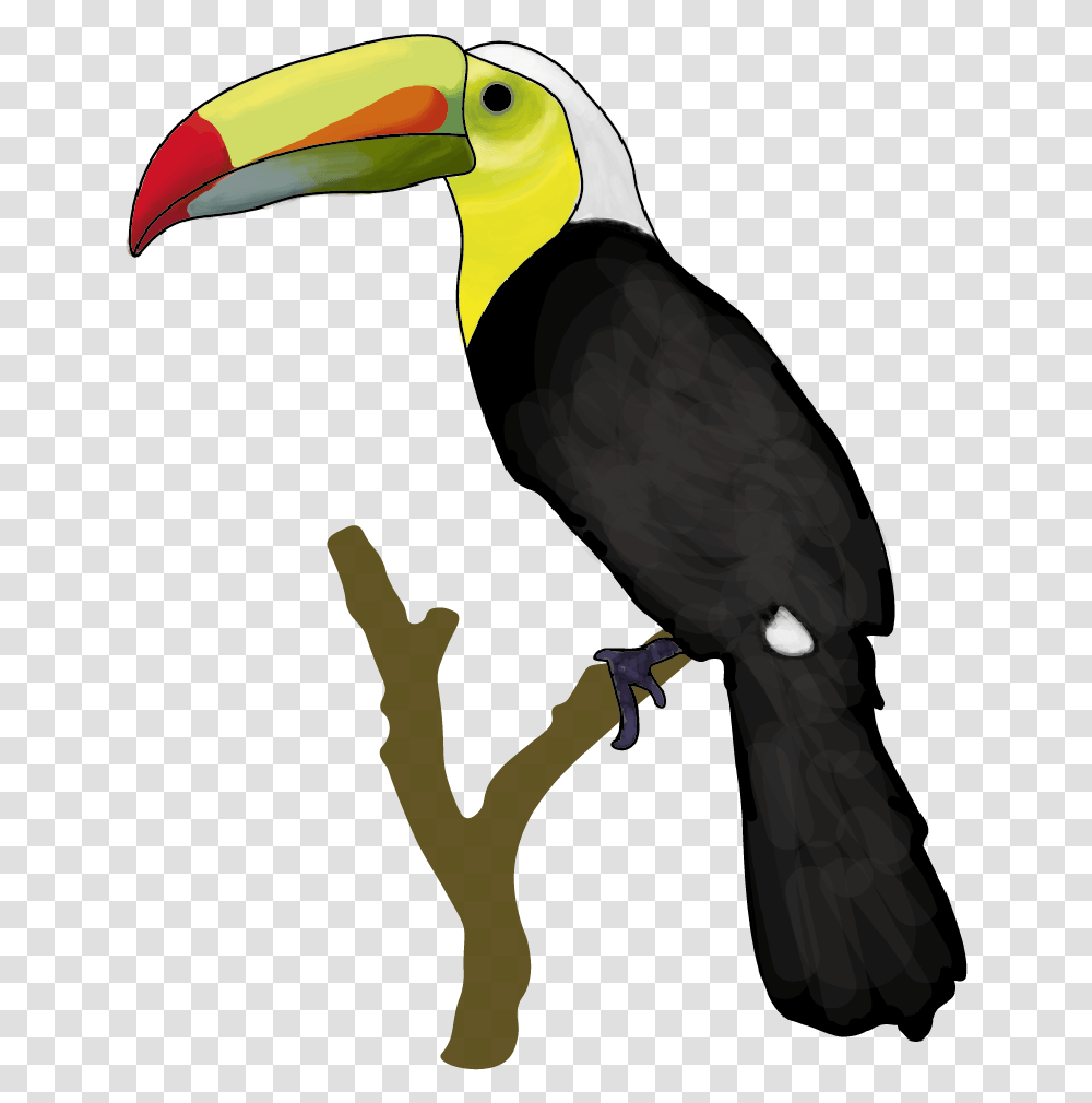 Sticker White Background Round Toucan Toucan, Animal, Bird Transparent Png