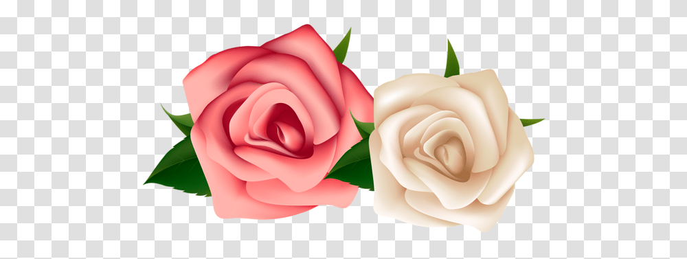 Stickers Clip Art Red, Rose, Flower, Plant, Blossom Transparent Png