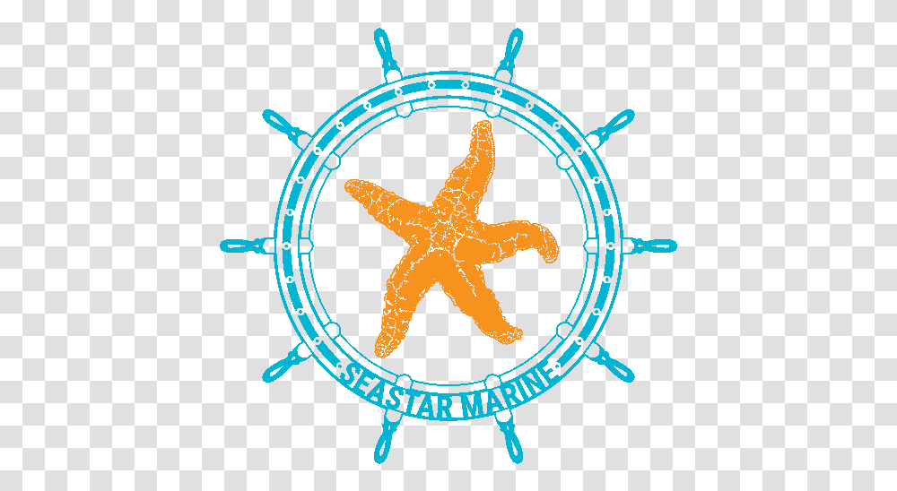 Stickers Orange Seastar Marine Tm Mri Magnet Shim Coil, Symbol, Star Symbol Transparent Png