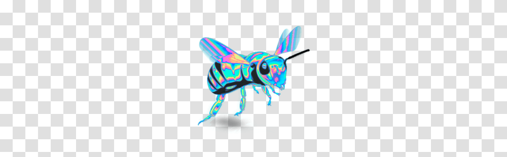 Stickers Tumblr, Wasp, Bee, Insect, Invertebrate Transparent Png