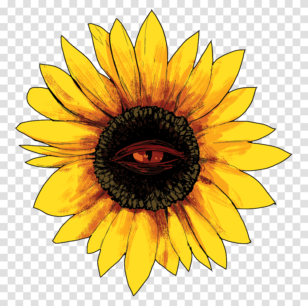 Stickers Yellow, Plant, Sunflower, Blossom, Daisy Transparent Png