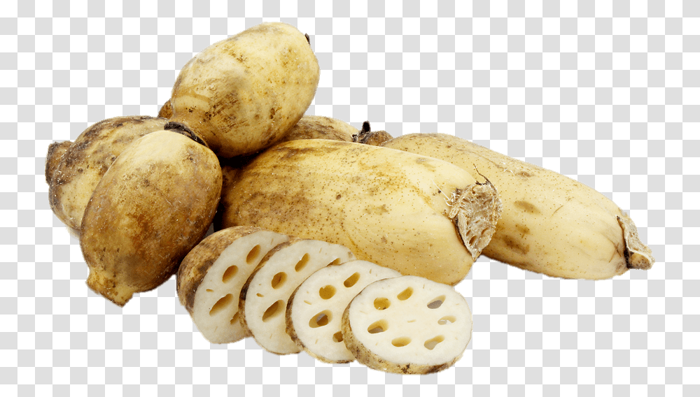Stickpng Download Lotus Root In Spanish, Plant, Bread, Food, Vegetable Transparent Png