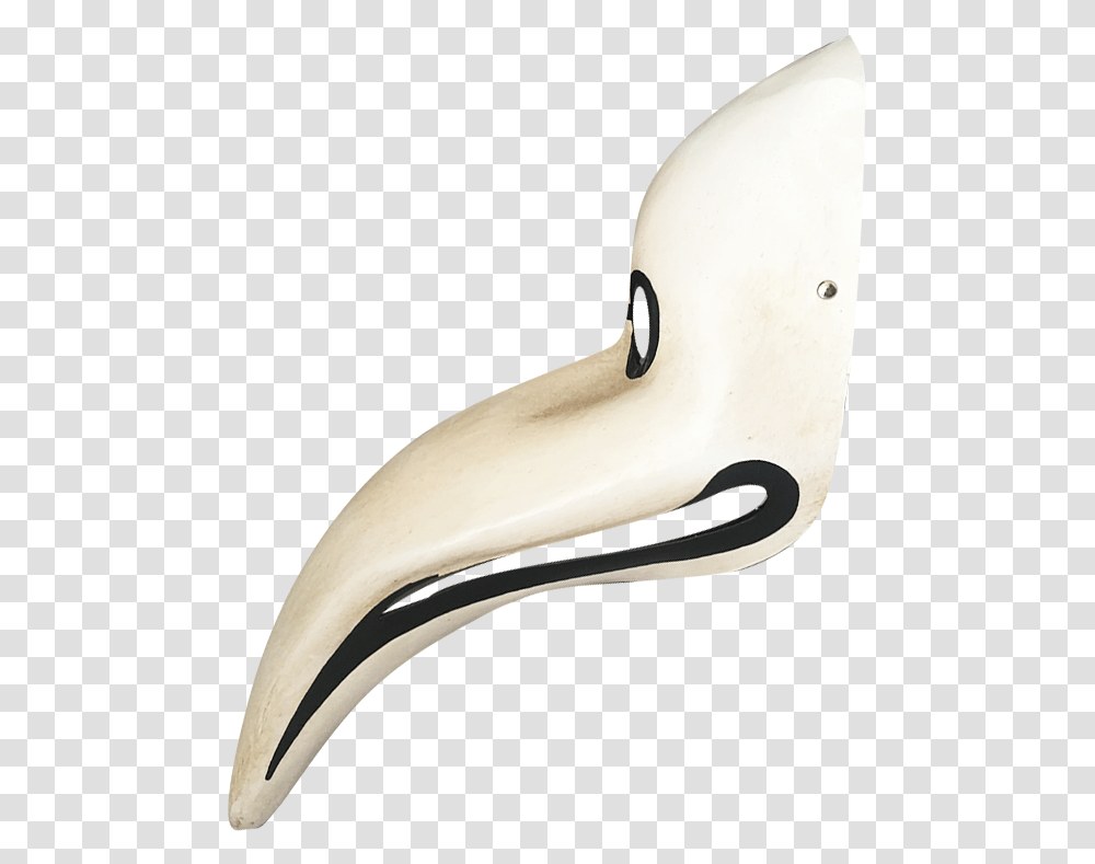 Still Life Photography, Beak, Bird, Animal, Banana Transparent Png