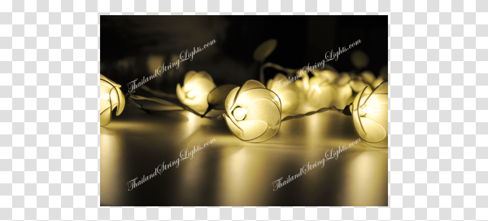 Still Life Photography, Light, Lighting, Lamp, Flare Transparent Png