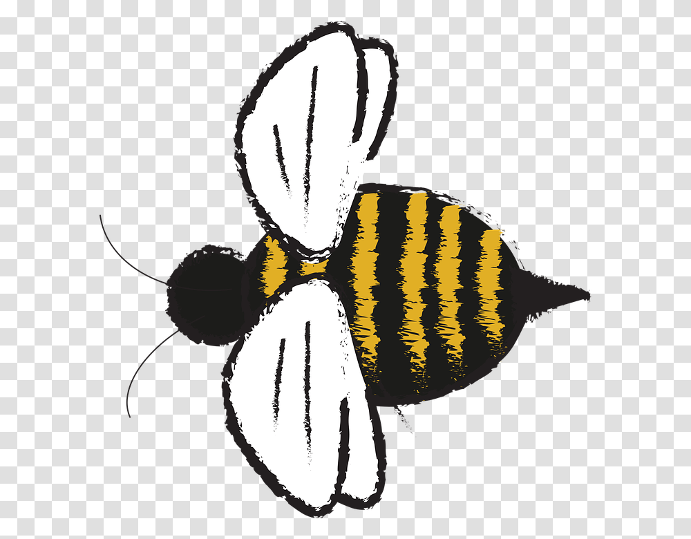 Sting Bee, Animal, Insect, Invertebrate, Bowl Transparent Png