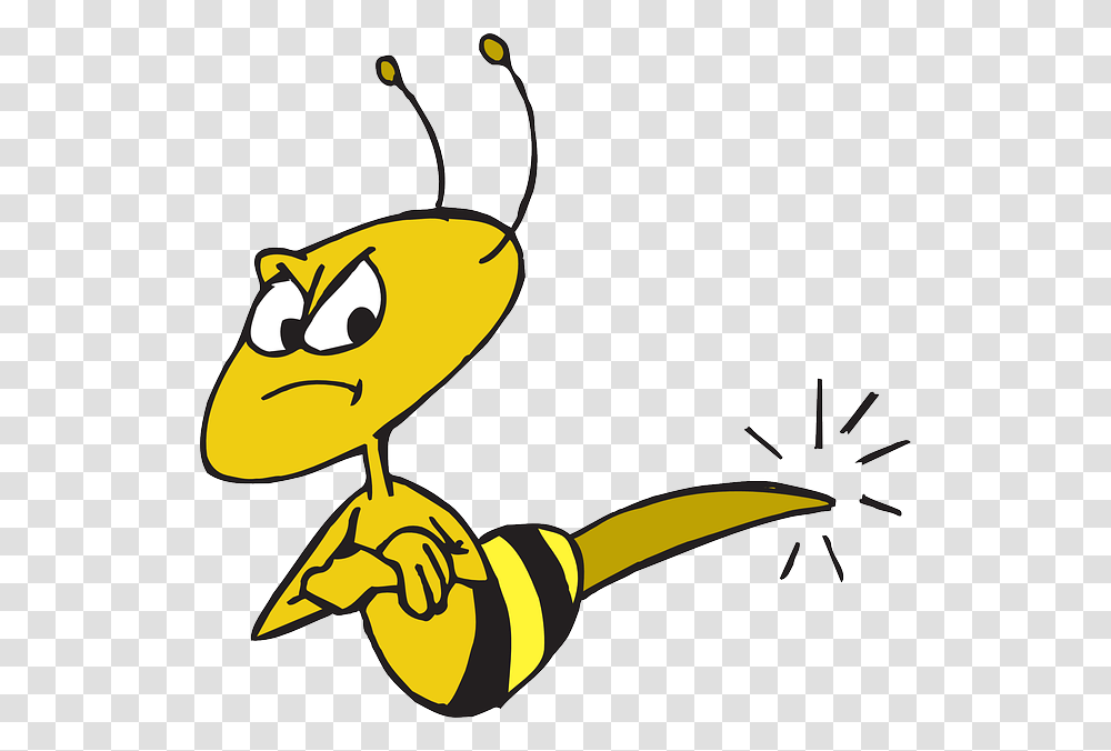 Stinger Clipart, Animal, Insect, Invertebrate, Bird Transparent Png