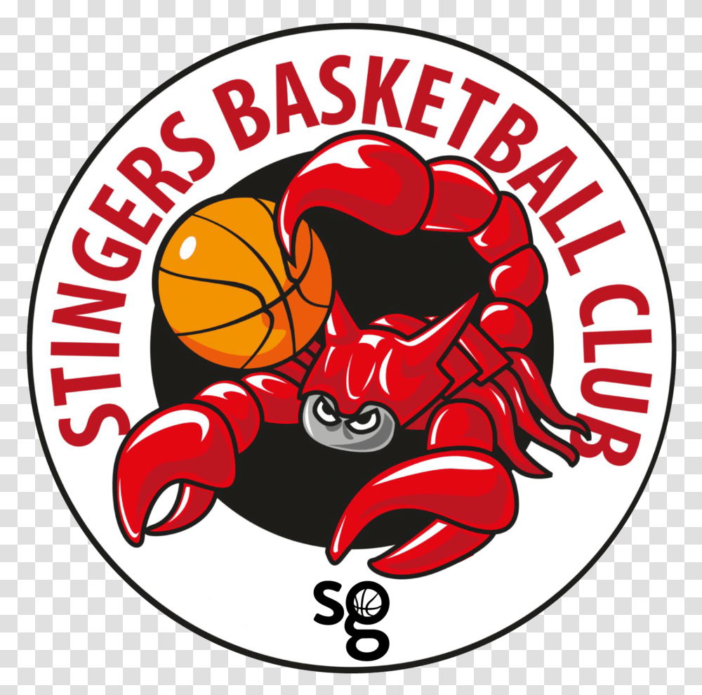 Stingers Basketball Club Ball, Label, Text, Sticker, Meal Transparent Png