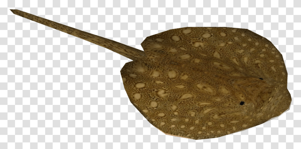 Stingray 6 Image Sting Ray, Car, Vehicle, Transportation, Automobile Transparent Png