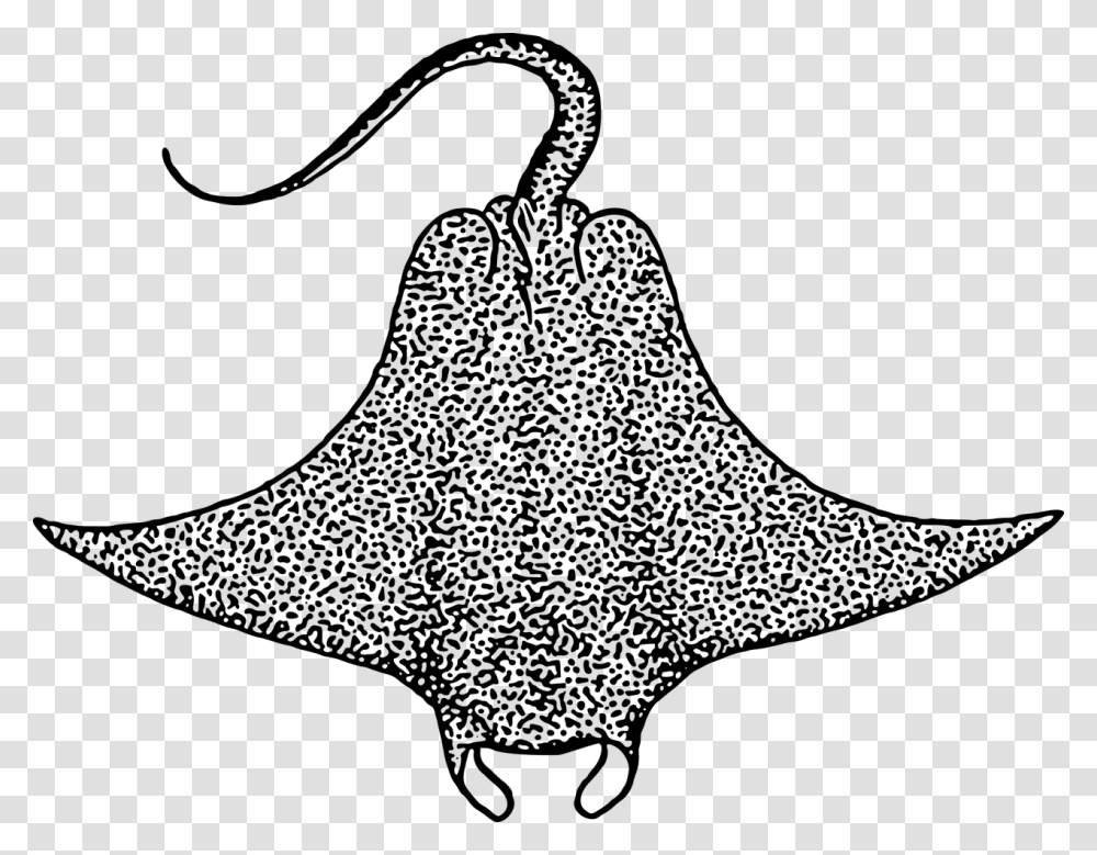 Stingray Black And White, World Of Warcraft Transparent Png
