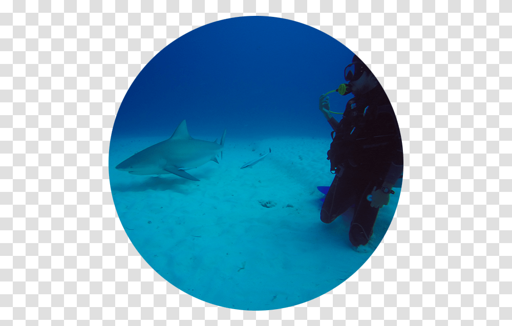 Stingray, Water, Outdoors, Person, Sport Transparent Png