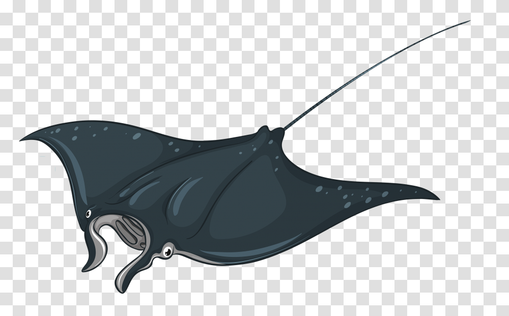 Stingray Xxslystarxx Wiki Fandom Powered, Whale, Mammal, Sea Life, Animal Transparent Png