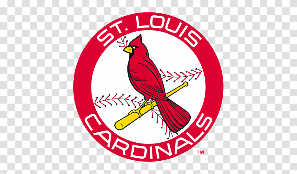 Stl Cardinals Baseball St Louis Cardinals Logos, Bird, Animal, Symbol Transparent Png