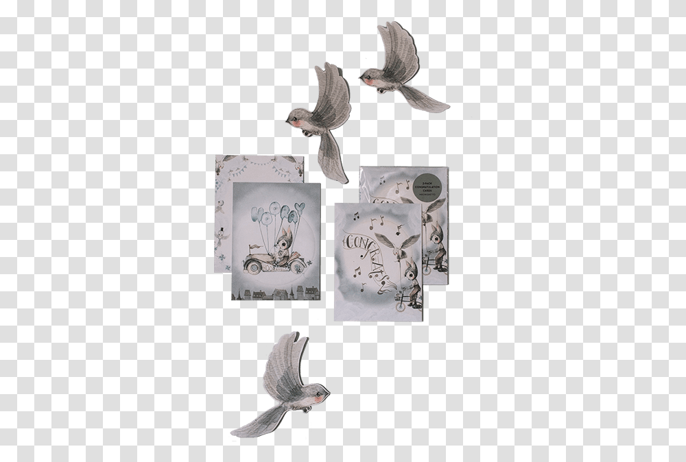 Stock Dove, Envelope, Mail, Greeting Card, Bird Transparent Png