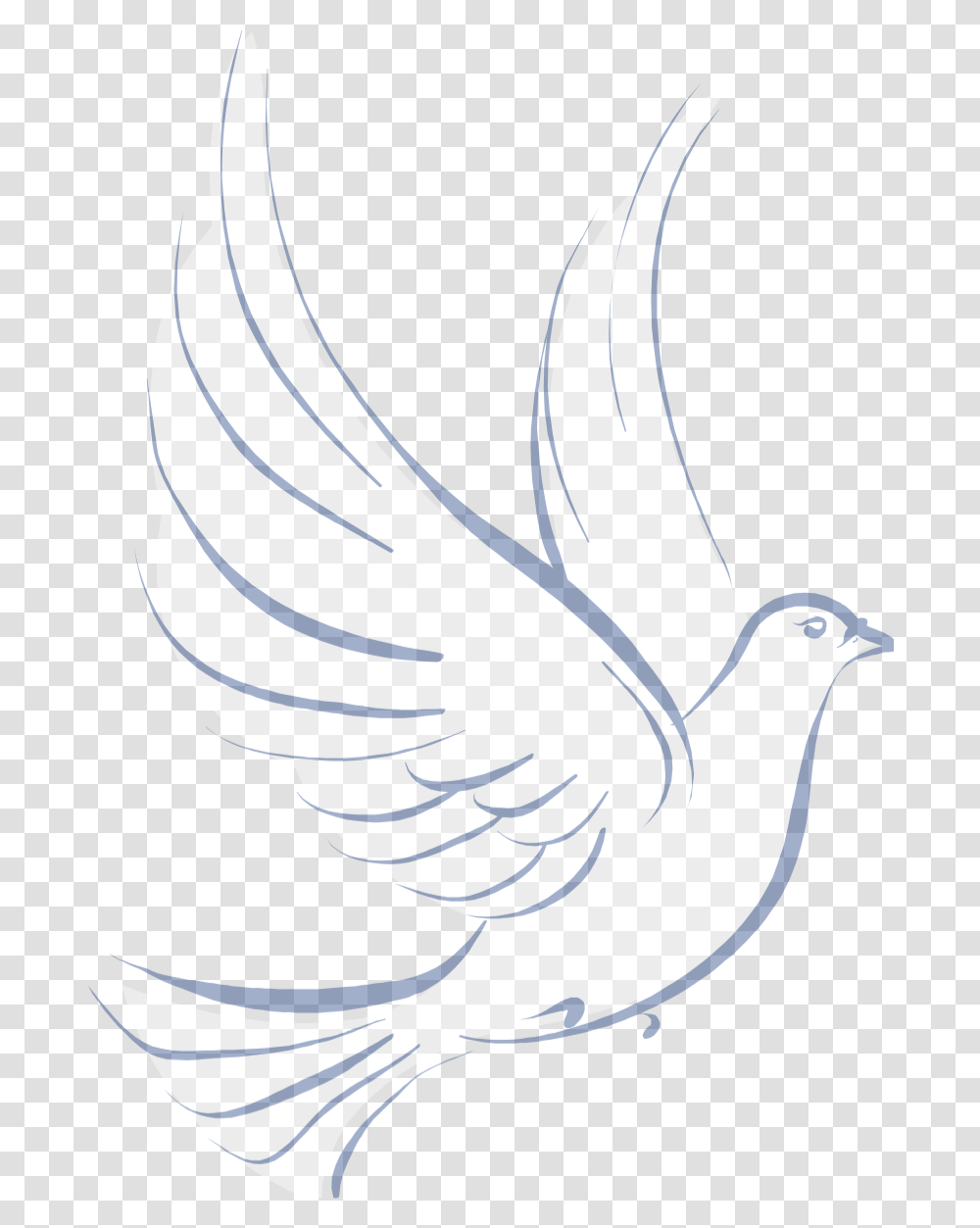 Stock Dove, Pigeon, Bird, Animal Transparent Png