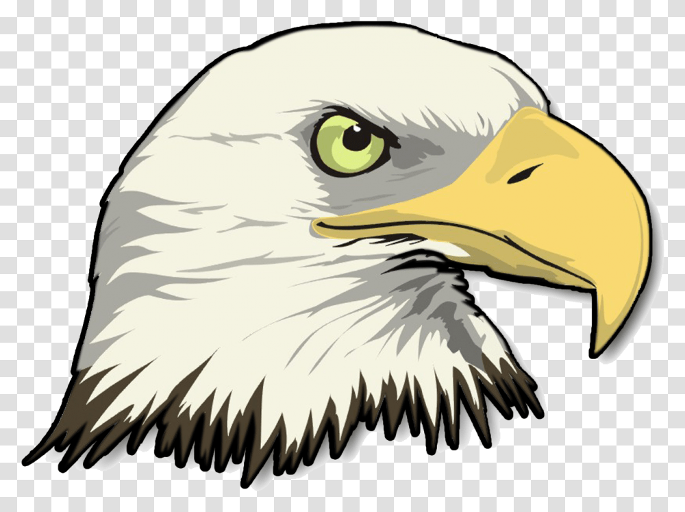 Stock Eagle Head Image Cartoon Bald Eagle Head, Bird, Animal, Beak Transparent Png