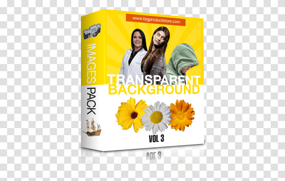Stock Images With Background Collection 3 Sunflower, Poster, Advertisement, Flyer, Paper Transparent Png