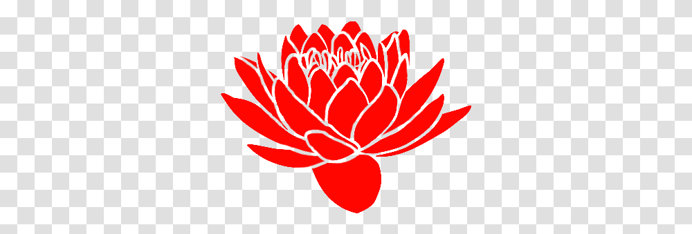 Stock Language, Dahlia, Flower, Plant, Blossom Transparent Png