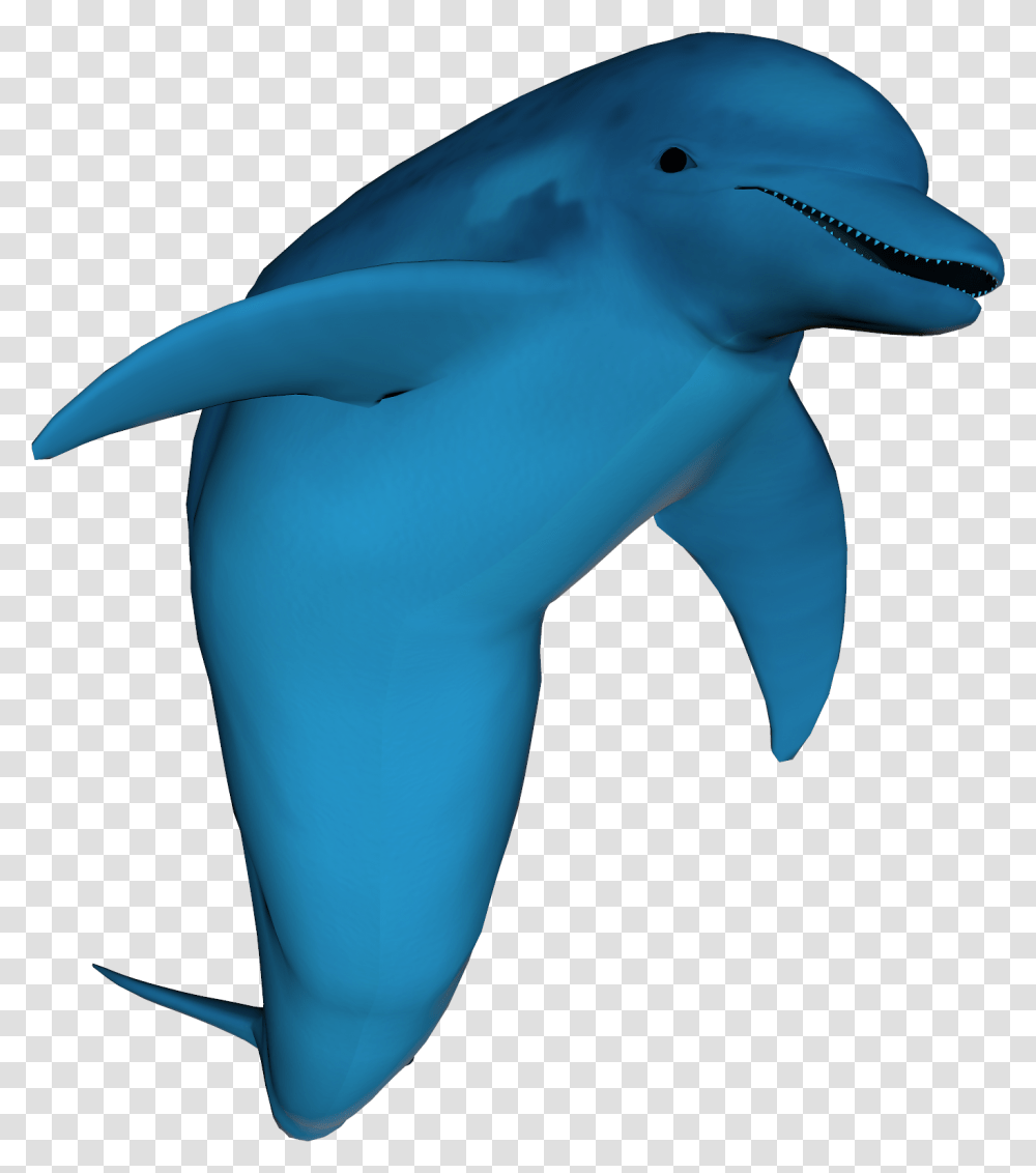 Stock Photo Dolphin, Mammal, Sea Life, Animal, Shark Transparent Png