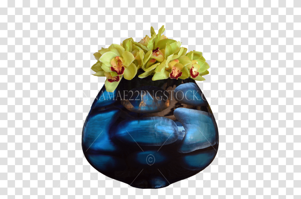 Stock Photos, Plant, Flower, Blossom, Vase Transparent Png