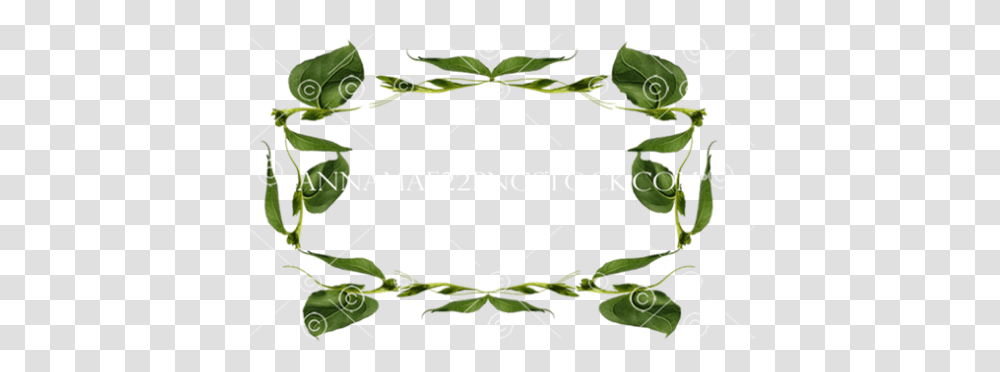 Stock Photos Rose, Plant, Graphics, Art, Animal Transparent Png