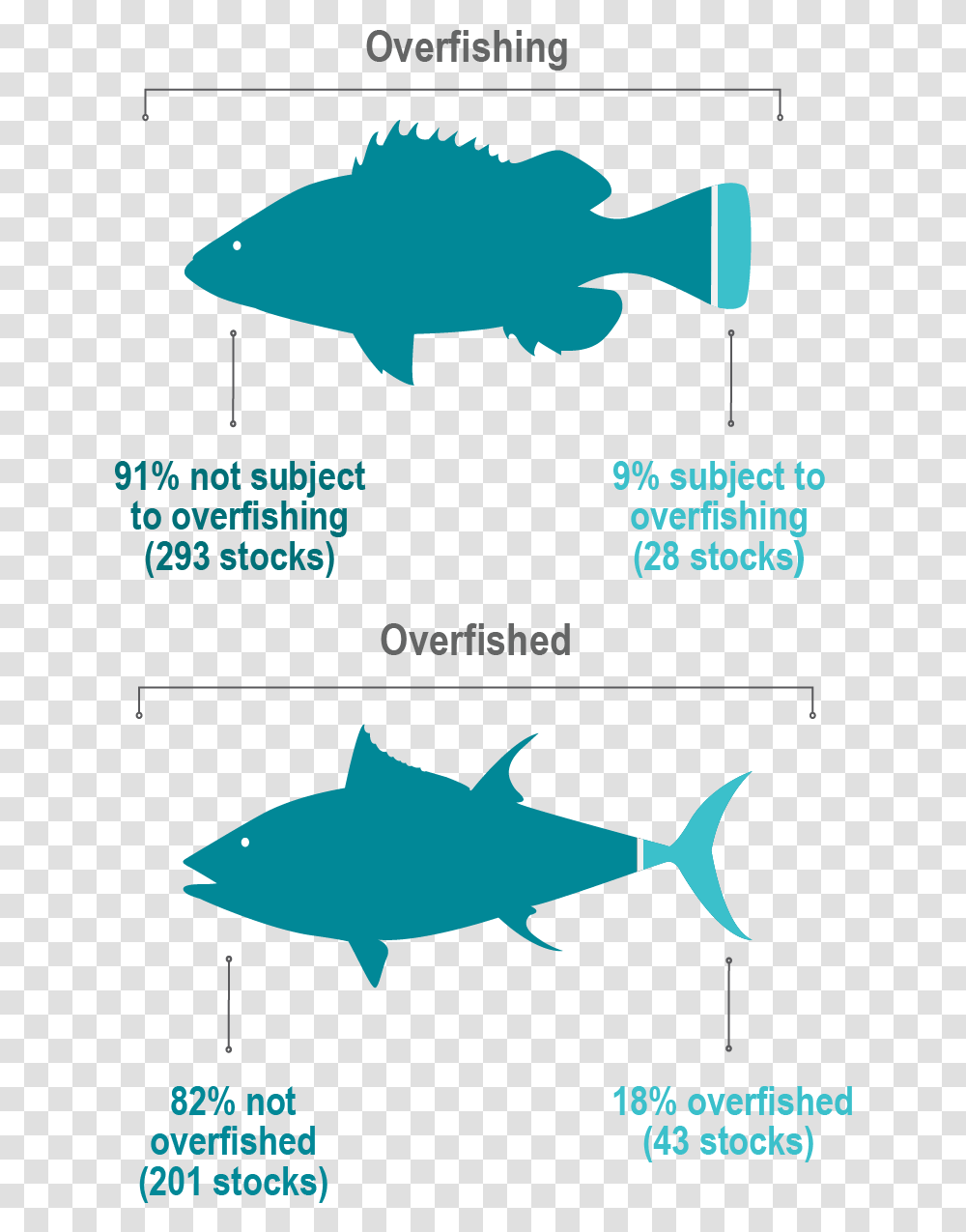 Stock Status Fish Graphic 01 01 Number Of Overfished Stocks, Animal, Sea Life, Shark, Poster Transparent Png