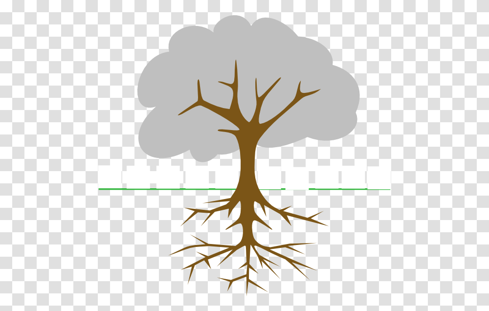 Stock Tree With Roots Files Mango Tree Root System, Plant, Flower, Blossom Transparent Png