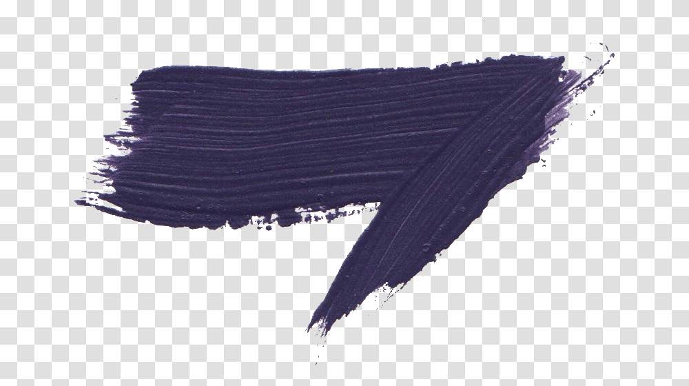 Stole, Sea Life, Animal, Shark, Fish Transparent Png