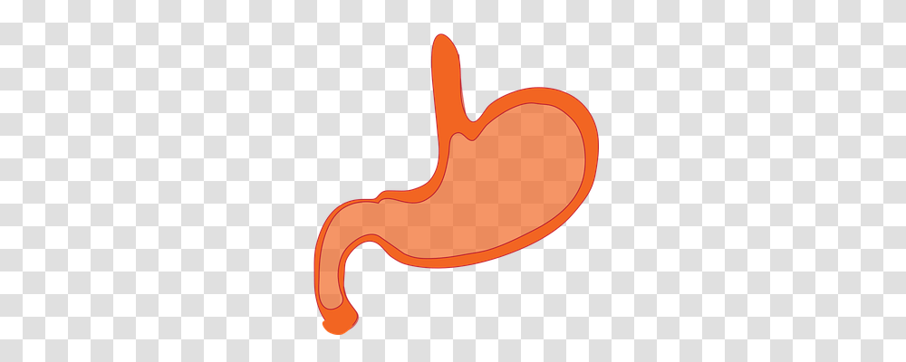 Stomach Technology, Axe, Tool, Hammer Transparent Png