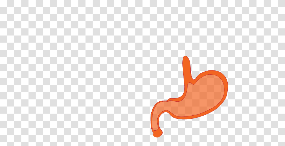 Stomach Clip Art, Food, Stain, Ketchup Transparent Png
