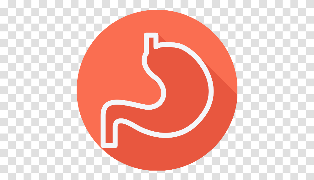 Stomach Icon 40 Repo Free Icons Circle, Text, Heart, Word, Label Transparent Png