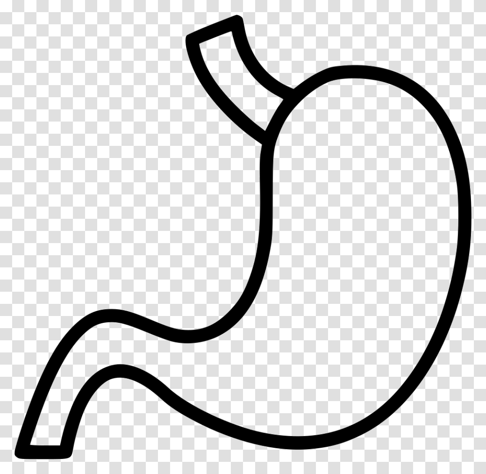 Stomach Icon Free Download, Label, Footprint Transparent Png