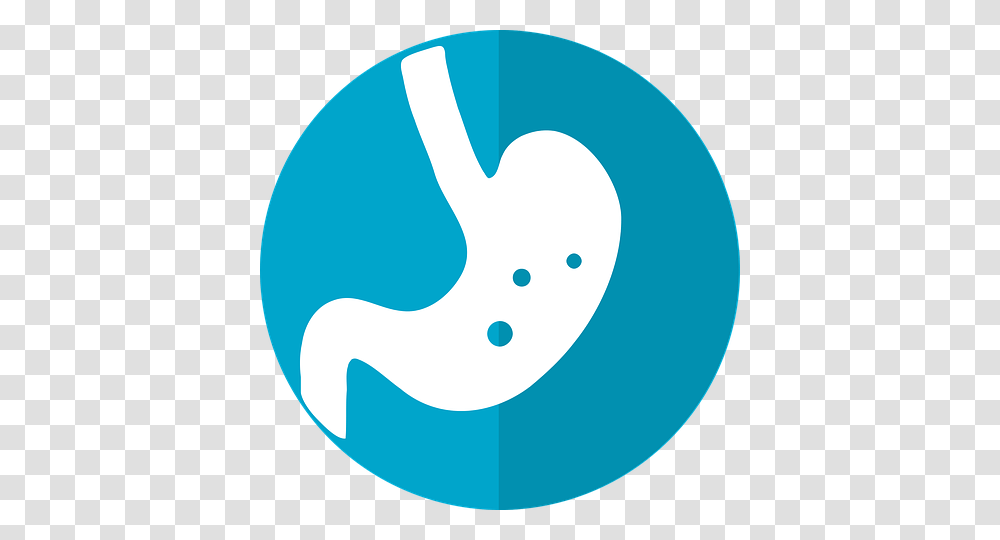 Stomach Icon Wisconsin Office Of Rural Health, Logo, Trademark Transparent Png