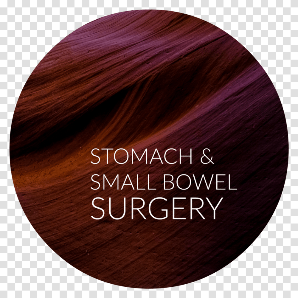 Stomach Sm Bowel Lace Wig, Wood, Hardwood, Sphere, Astronomy Transparent Png